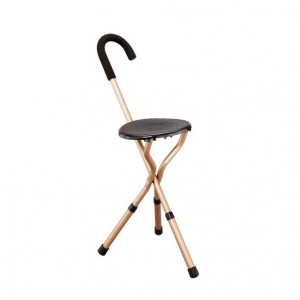 Adjustable Cane Chair