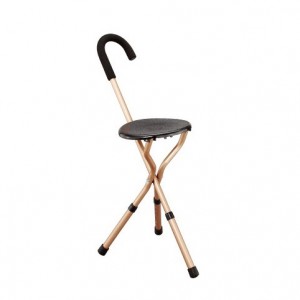 Adjustable Cane Chair